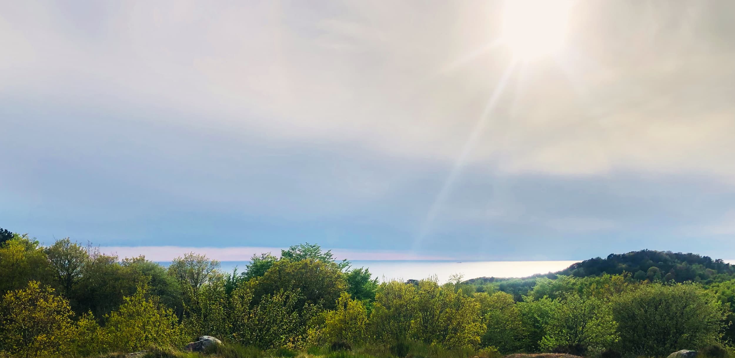 Debbies walkabout 2022